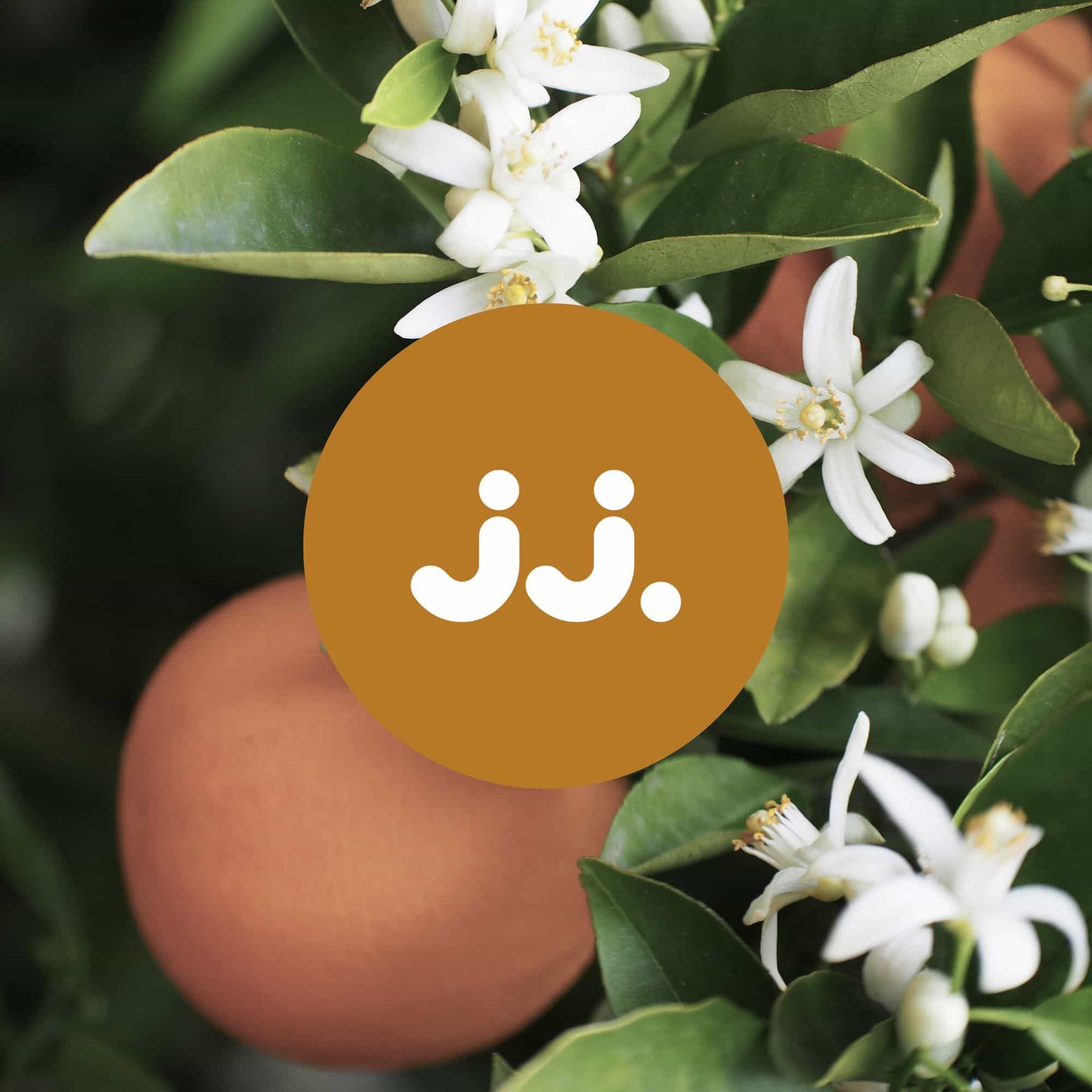 Fleurs de fleur d’oranger et fruits orangés avec logo jj., pour la senteur Citronnelle & Fleur d’oranger.