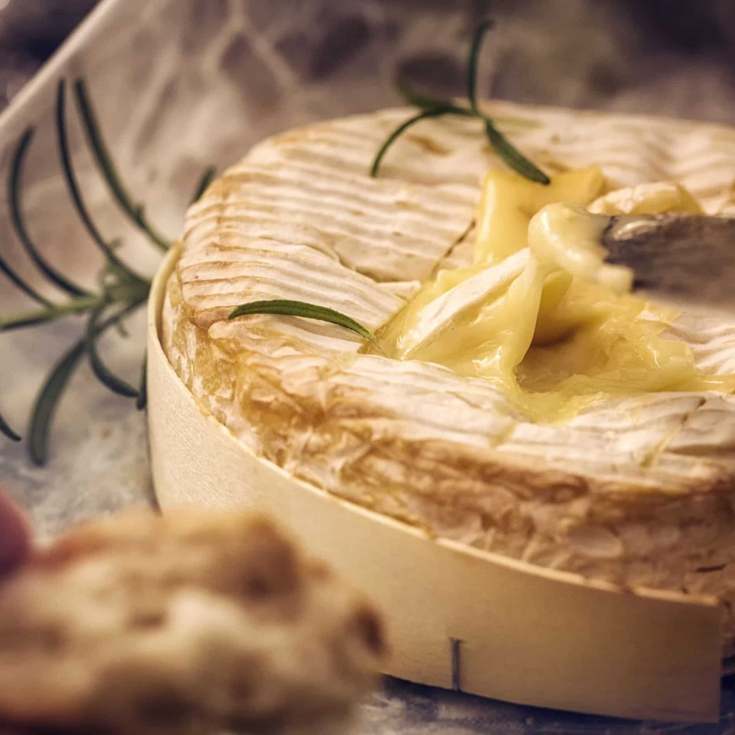 Fromage coulant et fondant à partager, gratiné au barbecue Kamado Forest Grill avec brin de romarin.