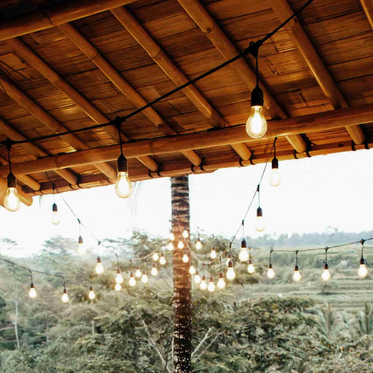 Außen-Lichterkette Tropfen – Forest Grill